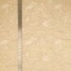 Tissu Dentelle Fleur 1 Taupe 