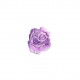 Ecusson rose - Violet