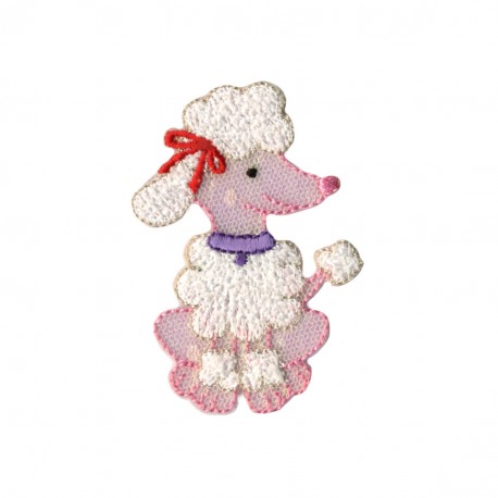 Caniche assis