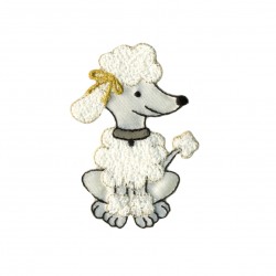 Caniche assis