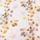 Tissu Voile Imprimé Eucalyptus Jaune 