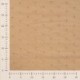 Tissu Broderie Uni Beige