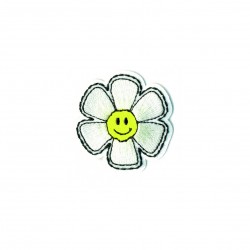 Levre fleur arc en ciel - Marguerite 4x4
