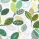 Tissu Enduit Peuplier Vert 