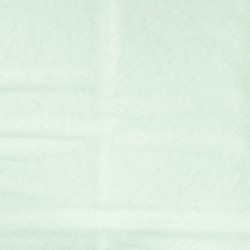 Tissu Maille de Nylon Scintillante Menthe 