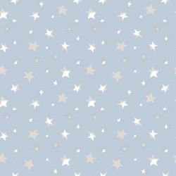 Tissu Jersey de Coton Imprimé Etoile Bleu 