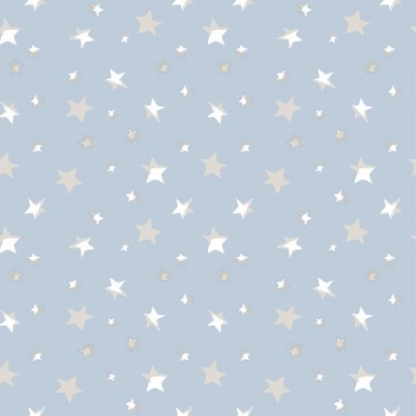 Tissu Jersey de Coton Imprimé Etoile Bleu 