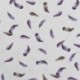 Tissu Jersey de Coton Imprimé Plume Blanc 