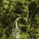 Tissu Viscose Imprimé Tye&die Vert