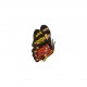 Ecussons papillons - Marron/rouge