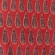 Tissu Blockprint Impression Tampons Mains Feuille Fond Rouge