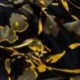 Tissu Satin de Viscose Imprimé Fleurs Kaki 