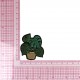 S ecusson plantes - Plante