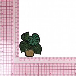 S ecusson plantes - Plante