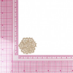 S ecusson rose dentelle - Lin