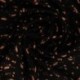 Tissu Viscose Imprimée Noir Marron