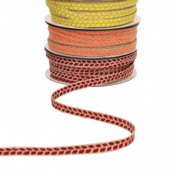 Galon tresse bicolore
