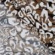 Tissu Popeline de Viscose Imprimée Leopard Marron 