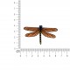 M ecusson insectes - Libellule