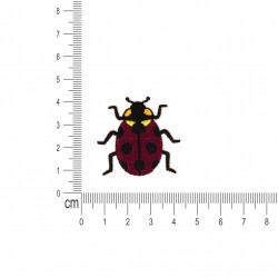 M ecusson insectes - Coccinelle
