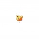 Divers animaux