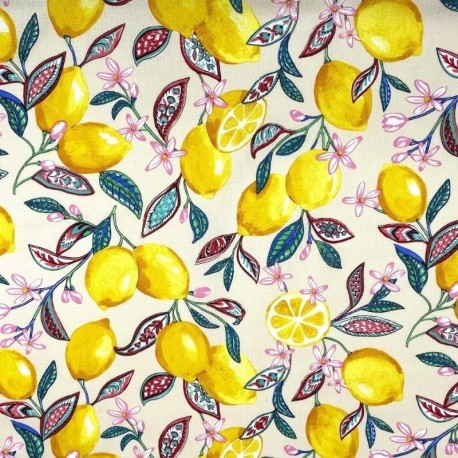 Tissu Cretonne Enduit Citronnier Ivoire