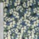 Tissu Popeline Imprimée Feuille Fond Bleu