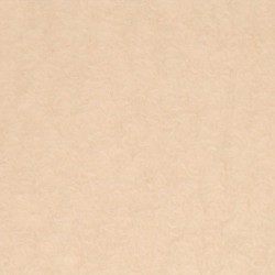 Tissu Brush Ecru 