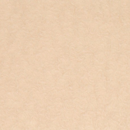 Tissu Brush Ecru 