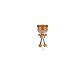 Animaux grandes pattes - Ours