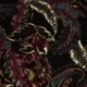 Tissu Serge de Viscose Imprimé Végétale Lie de Vin