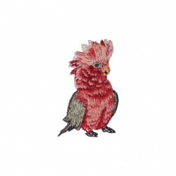M b ecusson oiseaux
