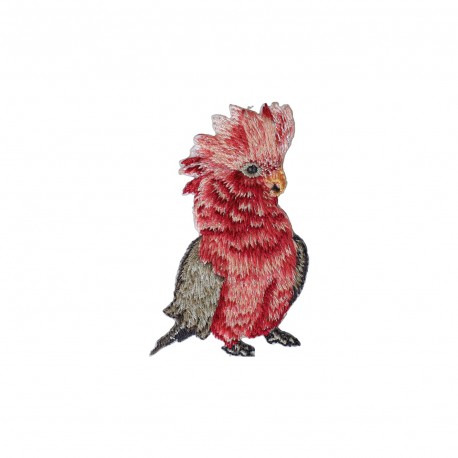 M b ecusson oiseaux