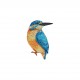 M b ecusson oiseaux