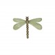 M b ecusson libellule et papillon