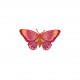 M b ecusson libellule et papillon