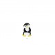 Pingouin dansant - Pinguoin
