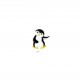 Pingouin dansant - Pinguoin