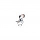 Zebre, chat - Zebre