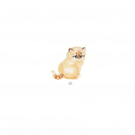 Animaux charmants - Chaton