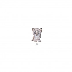 Animaux adorables - Chaton blanc