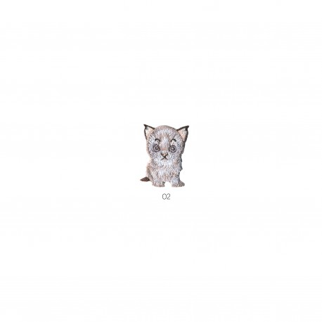 Animaux adorables - Chaton blanc