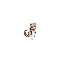 Animaux chics - Rat.laveur4x3